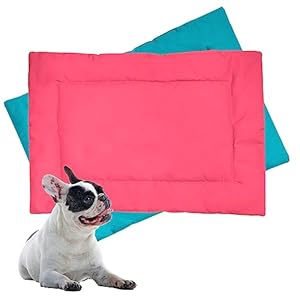 Downtown Pet Supply Dog Crate Pad, 24″ x 18″ – Waterproof, Ripstop Nylon Dog Crate Mat Chew Proof and Machine Washable – Blue and Periwinkle – S