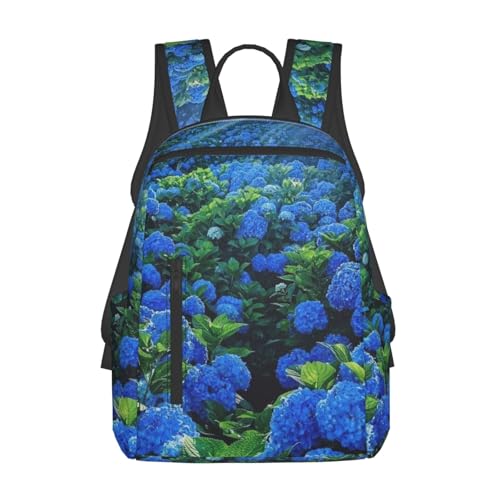 lC VvŃJWAȃhZ ԕ {w~A9 obNpbNʊw ΂ s bN e y @\ ʗp hZ