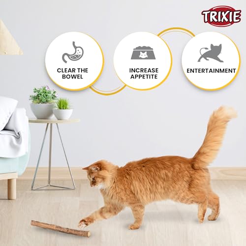 Image of Trixie: - Matatabi Chewing Stick | Interactive Cat Toy, Attracts and Stimulates Cats Hunting Instincts | Made with Dried Matatabi Fruits, Supports Dental Hygiene and Cleans Teeth - 10 Gm