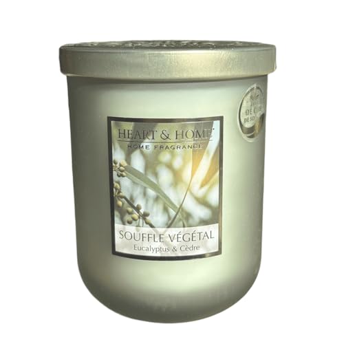 Bougie parfumée souffle végétal 320g pour une ambiance naturelle unique