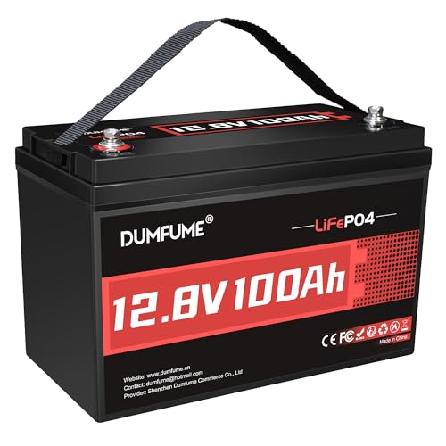 Dumfume 12V 100Ah LiFePO4 Lithium Battery Built-in 100A BMS, Group 31 Rechargeable Battery 6000+ Cycles 1280Wh Perfect for RVs MotorHomes, Camper, Solar System, and Off-Grid