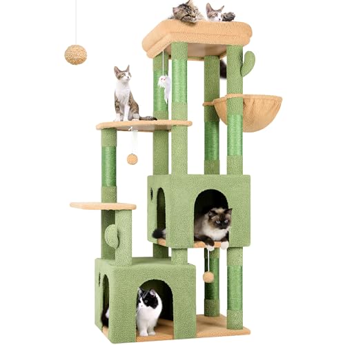 Globlazer Tiragraffi Cactus Verde per Gatti Adulti Stabile con Grandi Base 72cm*45cm, 2 Grotta, Piattaforma Imbottiti, Cesto, Albero Tiragraffi Alto 156 cm per Gatto Riposare Giocare (F61, Verde)