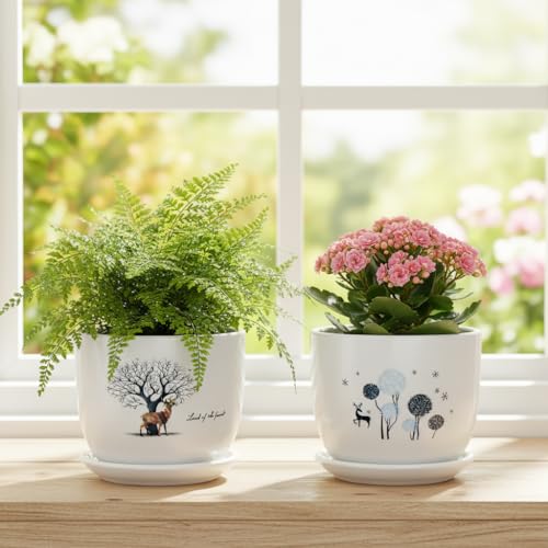 Image of Xtore Charming Ceramic Planter Pots with Drain Tray | Set of 2 Decorative Flower Pots for Indoor Plants, Balcony & Tabletop Styling (Pack of 2, Planters only)