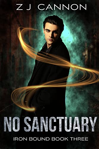Cover of No Sanctuary