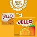 Jell-O Gelatin Snacks, Mango, 3-Ounce (Pack of 1)