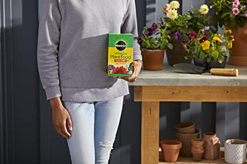 Image of Miracle-Gro All Purpose Plant Food Plant Fertilizer (6 Pack), 3 lb