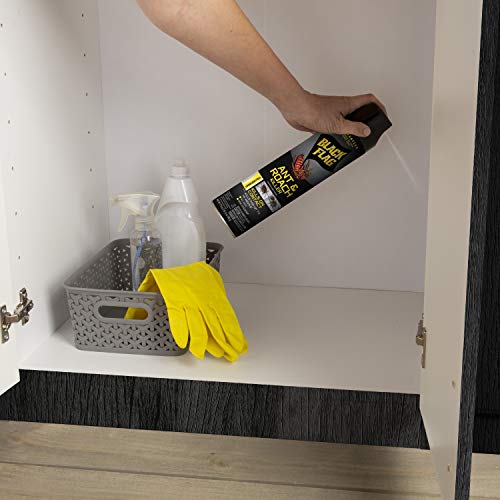 Image of Black Flag Ant & Roach Killer Aerosol, Unscented, 17.5-Ounce, 12-Pack