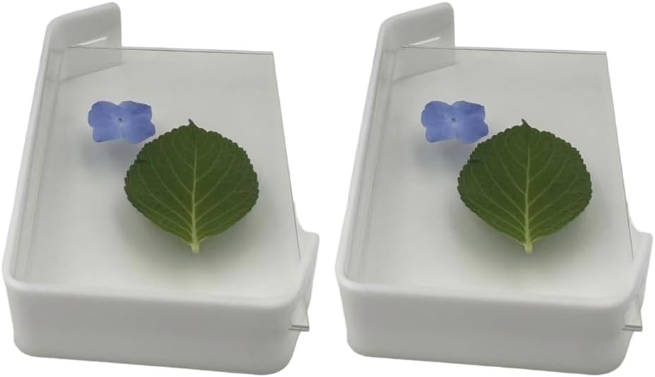 Desktop Creative Leaf Sculpture Plant Flower Specimen Display Stand Photo Frame