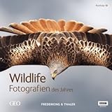 Cover zum Buch Portfolio 19. Wildlife Fotografien de...
