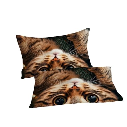 Parure de couette 260x220 imprimé 3D chat microfibre anti-plis