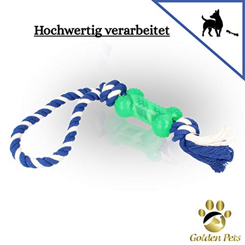 Golden Pets Hundespielzeug 4-teiliges Set I Ideal für kleine bis mittelgroße Hunde und Welpen I Aus natürlichen hochwertigen Baumwollfasern I + Gratis Pflegehandbuch