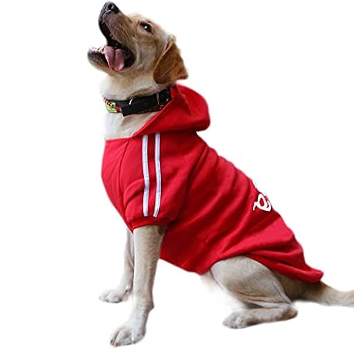 Eastlion Ropa Perro Grande,Cálido Sudadera con Capucha para Perros Algodón Suéter Chaqueta Abrigo Costume Pullover para Mascota Perro Gato (Rojo,5XL) | Ya disponible en tu tienda friki favorita! En mundofriki.es! Eastlion Ropa Perro Grande,Cálido Sudadera con Capucha para Perros Algodón Suéter Chaqueta Abrigo Costume Pullover para Mascota Perro Gato (Rojo,5XL) | Ya disponible en tu tienda friki favorita! En mundofriki.es!