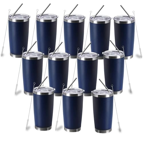 CWRIEB 20oz insulted tumblers stainless steel cup Tumbler Bulk with