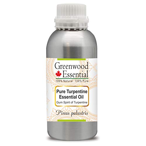 Image of Greenwood Essential Turpentine Essential Oil (Pinus palustris)-Gum Spirit of Turpentine Pure | Non-Sticky | Non-greasy | Lightweight | Men & Women | All Skin Types | Steam Distilled 1250ml