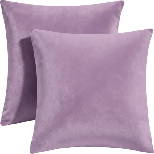 2 Pack 18x18 Pillow Cover Velvet Pillow Covers Square Throw Pillow Covers for Living Room Decorations Throw Pillow Case Throw Pillow Cover Cushion Cover for Sofa Bedroom Car Lavender Velvet