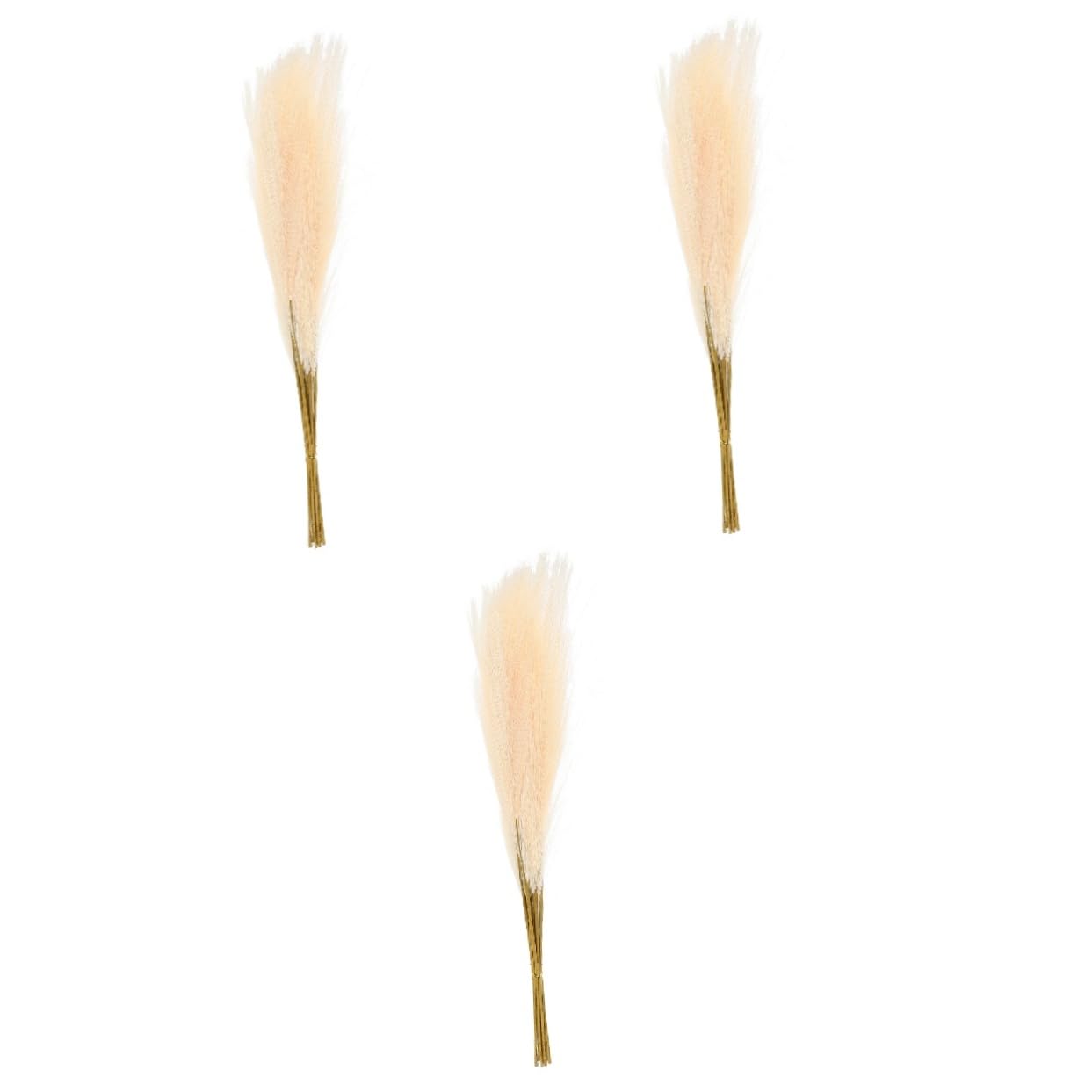 Tiges de pampa OUNONA pour arrangements floraux sans entretien