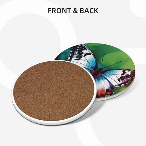 Sous-verres céramique absorbants lot de 4 papillon évite les taches d'eau sur table - 3