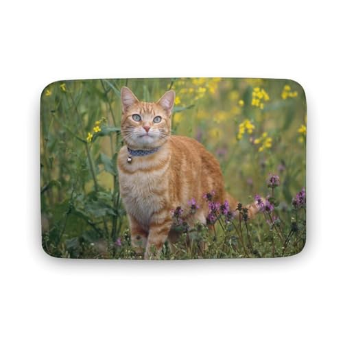 L   oX}bg   z փ}bg  O   \ ~ Aj LN^[ @}bg   ʏ