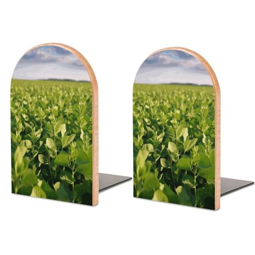 Sujetalibros resistente de madera con base de goma para sujetar enciclopedias 2