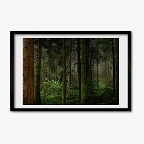 Tableau cadre MDF 60x40 cm Brouillard Dans la Foret Tulup