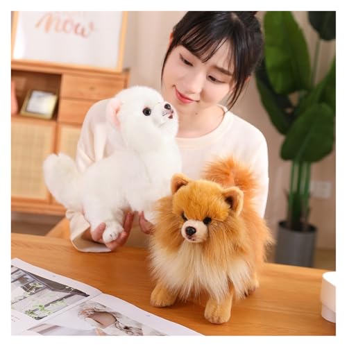 KUKUShining Soft Pomeranian Hund Kuscheltier, 23CM Niedliches Welpen Plüschtier Stofftier Kinder Ideal für gemütliches Spielen und Schlafzimmerdekoratio(WhitePome)