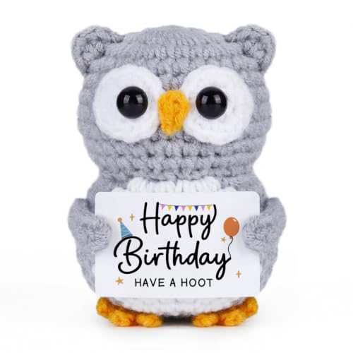 Qallicon Cute Birthday Gifts for Women - Crochet Owl Gifts Have A Hoot, Happy Birthday Gift for Women Mom Grandma Daughter Wife Sister Coworkers Friends, Party Decor