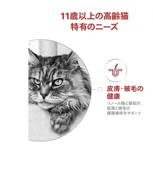 Amazon.co.jp: ロイヤルカナン 猫 エイジング 11+ キャットフード 4kg