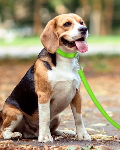 Taglory Hundeleine Kleine Hunde Leicht | Doppelseitig Reflektierend | Gepolsterter Griff | Bis zu 10 kg | 1.8m x 2cm | Grün