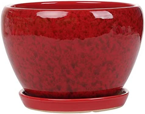 Pot en céramique style chinois pour créer un jardin intérieur de succulentes