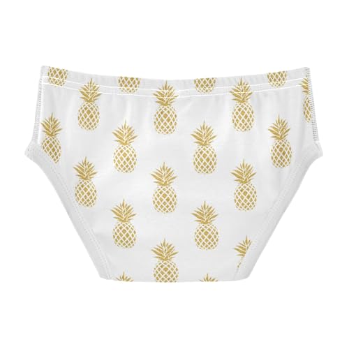 Boys' Exclusive Briefs Toddler Underwear 95% Combed Cotton Boxerbriefs 2T Pineapple Pattern 1002