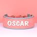 PET ARTIST 5CM Personalisierte PU Leder Hundehalsband für großen Hund. Weiches Dickes Gepolstertes Hundehalsband mit Großem Namen für Rottweiler Mastiff Dogge, rosa XL