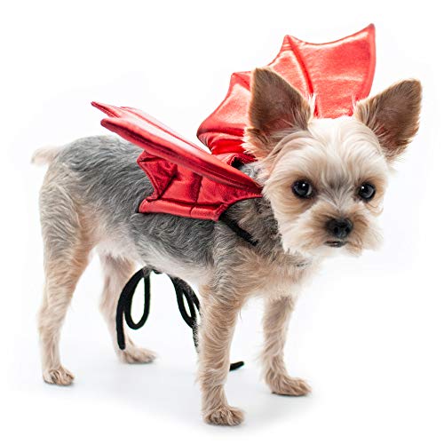 Dogo, Pet Dragon Wings, Red, Small, 1 Count