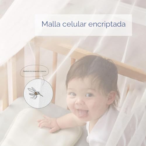 Miniatura 6 de 