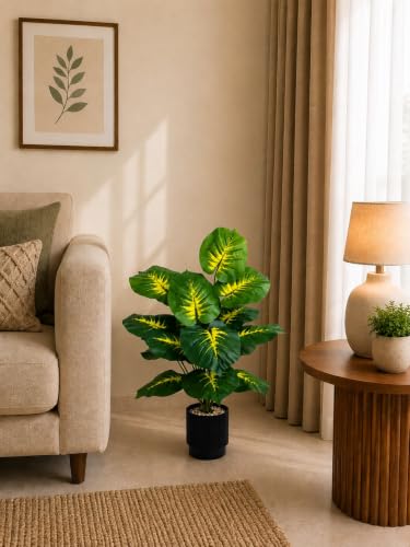 Image of Cocco.BUA Artificial Dieffenbachia Plant with Black Pot |18 Leaves | 76 cm (2.5 Feet) Tall Realistic Indoor Plant for Living Room, Office & Home Decor