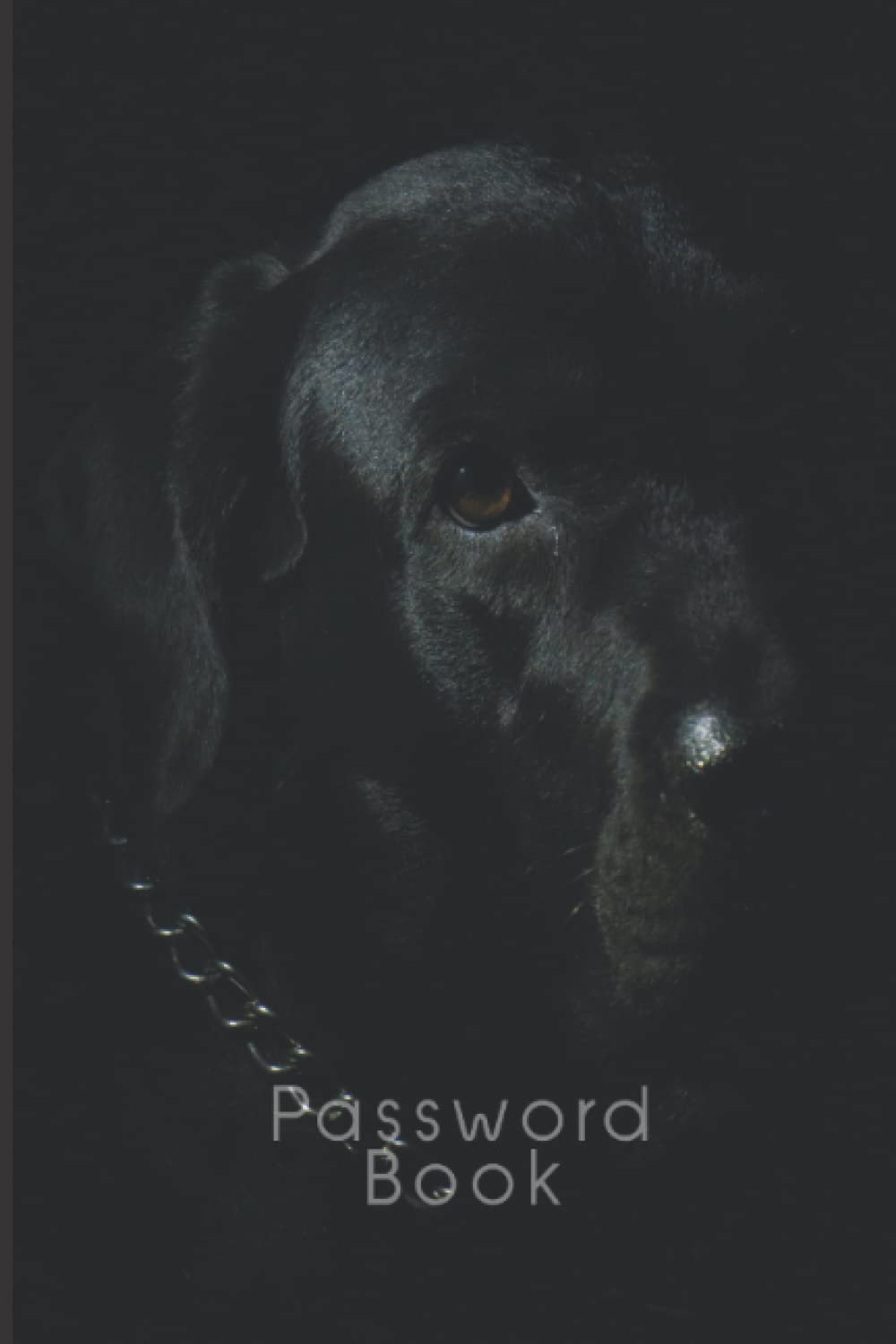 Internet Password Book Dog: Labrador Retriever Password Book for women, men & kids Dog lovers , Website E-Mail Username and Password Keeper Logbook , Internet Username and Login Logbook