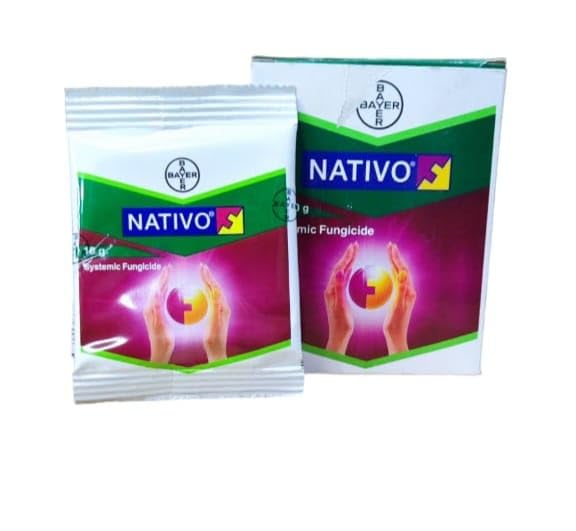 Bayer Nativo 10Gm Systemic Fungicide Granules | 1Nos