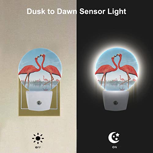Image of EKOBLA Watercolor Tropical Flamingo Night Light, Pink Birds Plug into Wall with Dusk to Dawn Light Sensors, Warm Nightlights for Bedroom, Bathroom, Hallway, Kitchen