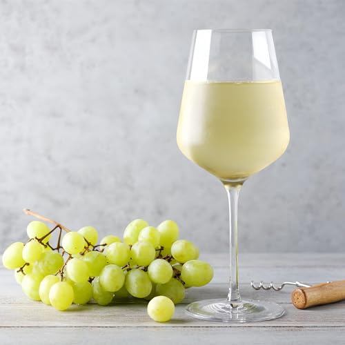The Basics of Sauvignon Blanc