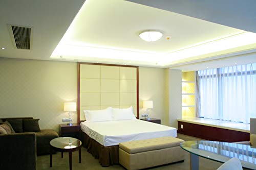 Bulbrite 610101 Q100Cl/Mc Light Bulb, 1 Count (Pack Of 1), Clear #TOP1