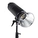 Homairate Compact Studio Flash, Studio Strobe Light 300W Stepless Dimming 100-240V Plastic Metal 5500K for Recording (US Plug)