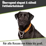 CopcoPet Fettleder Halsband 45–50cm x 20mm Braun – Geflochten mit Zugstopp-Kette – Robust & weich – Verchromte Kette – Lederhalsband für mittelgroße Hunde, Training & Alltag