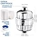 15-Stage Shower Filter - 2 Replaceable Filter Cartridges - Water Filter for Shower Head - Chrome