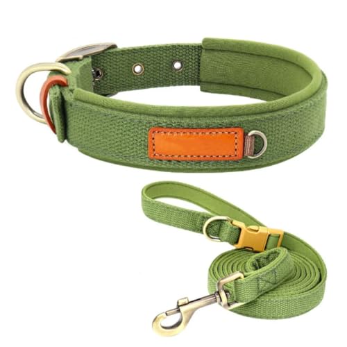 p [h Zbg ߉\  ʋC S U Pp \tg ɂȂ ȒP v hbO (, S)