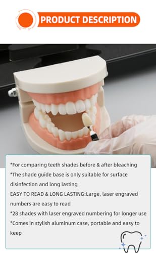 Image of Professional 3D R-28 Dental Tooth Teeth Whitening Shade Guide for Dentist Tracking Teeth Whitening Course, Tooth Shade Guide with 28Colors