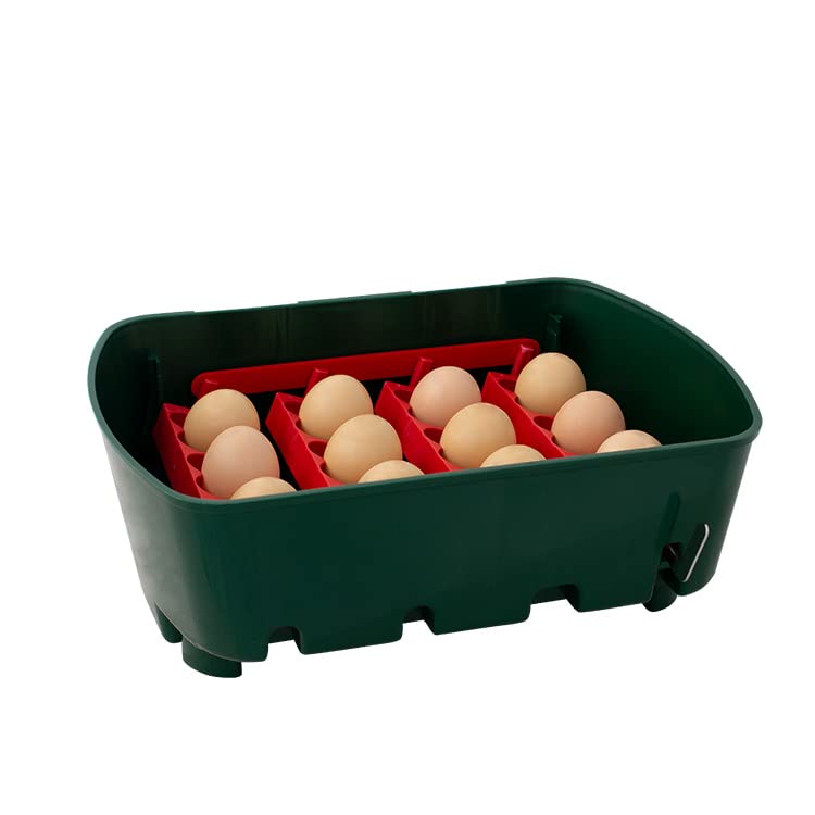 Incubadora digital semiautomática para huevos - River Systems - Capacidad 12 huevos grandes y 48 de tamaño pequeño
