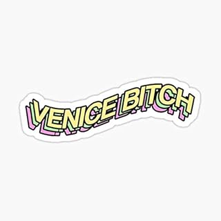 Pack of 3-3 Inch - Lana del Rey Sticker - Printed Vinyl Decal Graphic for Cars, Trucks, Windows, Laptops, Walls, Waterbottles, Skateboards