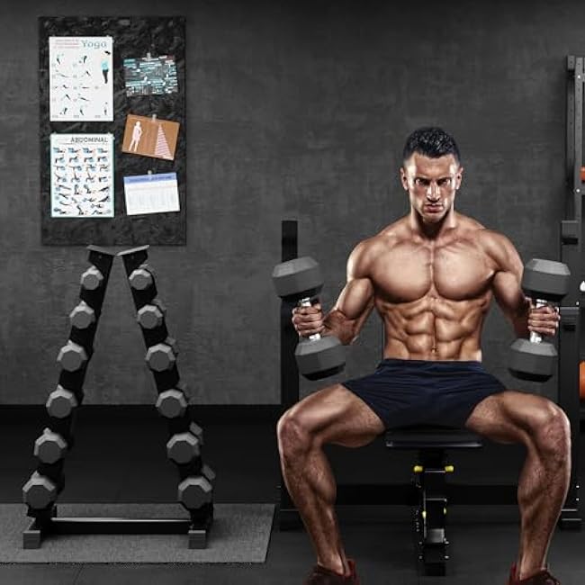 Premium Rubber Coated Hex Dumbbell Weight Set With Rack, Multiple Packages,210LB/350LB/450LB/550LB for Home Gym, Coated Hand Weights for Strength Training, Workouts