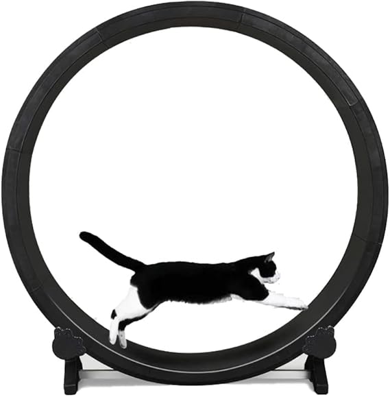 FM Feline Motion Cat Exercise Wheel Cat Treadmill Running Machine Perfect for your Energetic FM Feline Motion Cat Exercise Wheel Cat Treadmill Running Machine Perfect for your Energetic