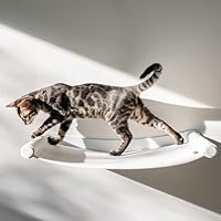 AZANO® Katzenhängematte XL Metall | Designer Kletterwand Katzen | Katzenbett Wand | extra groß und stabil - (Weiß)