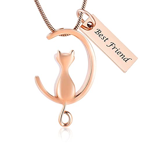 Bijoux de crémation pour chat : collier d'urne funéraire or rose